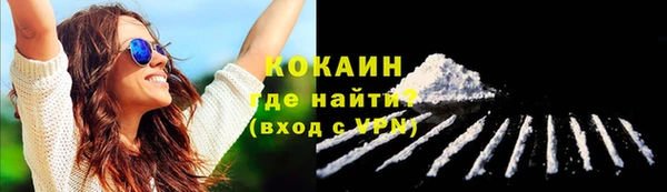 дживик Абаза