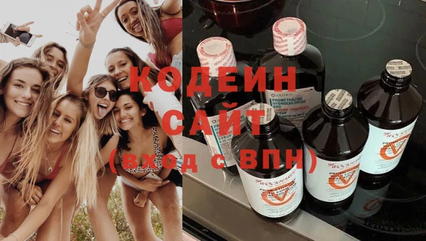 дживик Абаза
