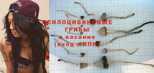 дживик Абаза