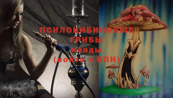 дживик Абаза