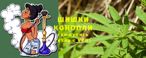 дживик Абаза