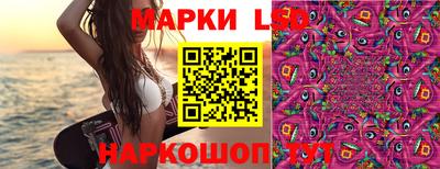сатива Коммунар