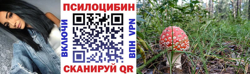 Галлюциногенные грибы Magic Shrooms  Костомукша 