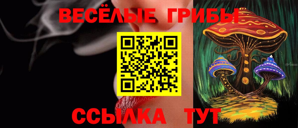Псилоцибиновые грибы GOLDEN TEACHER Костомукша