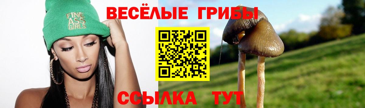 Псилоцибиновые грибы мицелий  Вход с VPN  закладка  Костомукша 